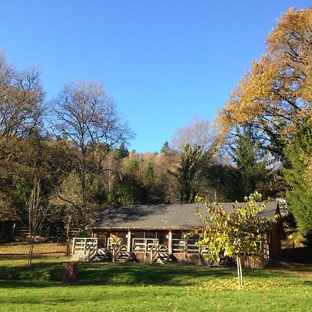 Willa Au Bois De Calais Corrèze Zewnętrze zdjęcie